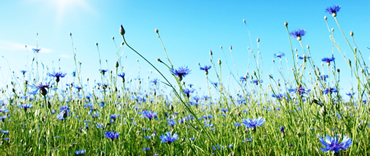 Uitvaartverzekering?!