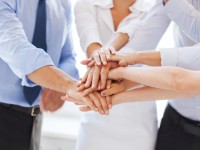 Donec facilisi ulet ipsum